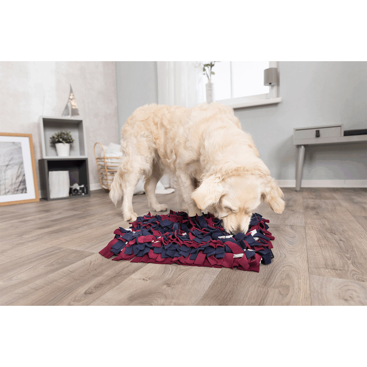 Trixie Activity Schnüffelteppich günstig kaufen bei ZooRoyal