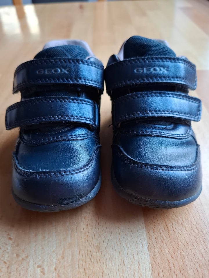 Geox Sneakers 