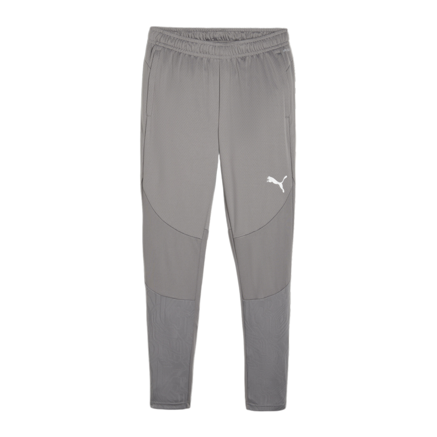 PUMA teamFINAL Trainingshose Grau F13