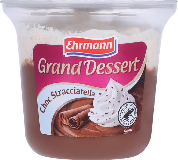 Ehrmann Grand Dessert Schoko-Stracciatella