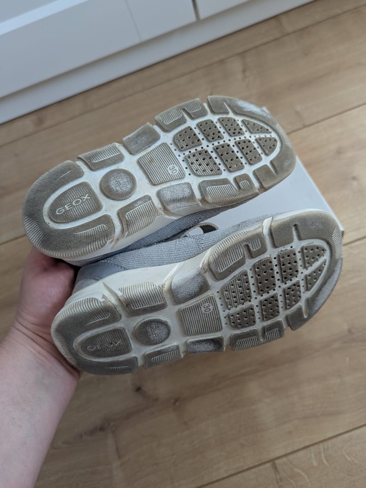 Geox Sneakers 