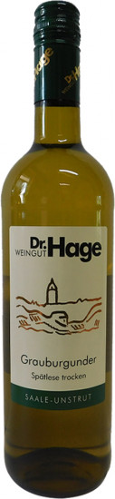 2021 Grauburgunder Spätlese trocken - Weingut Dr. Hage GbR