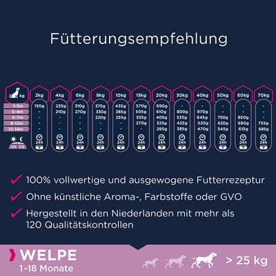Eukanuba Grain Free Puppy Large Breed mit Lachs