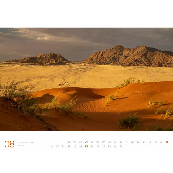 PLANET EARTH - ACKERMANN GALLERY KALENDER 2024 - Kalender