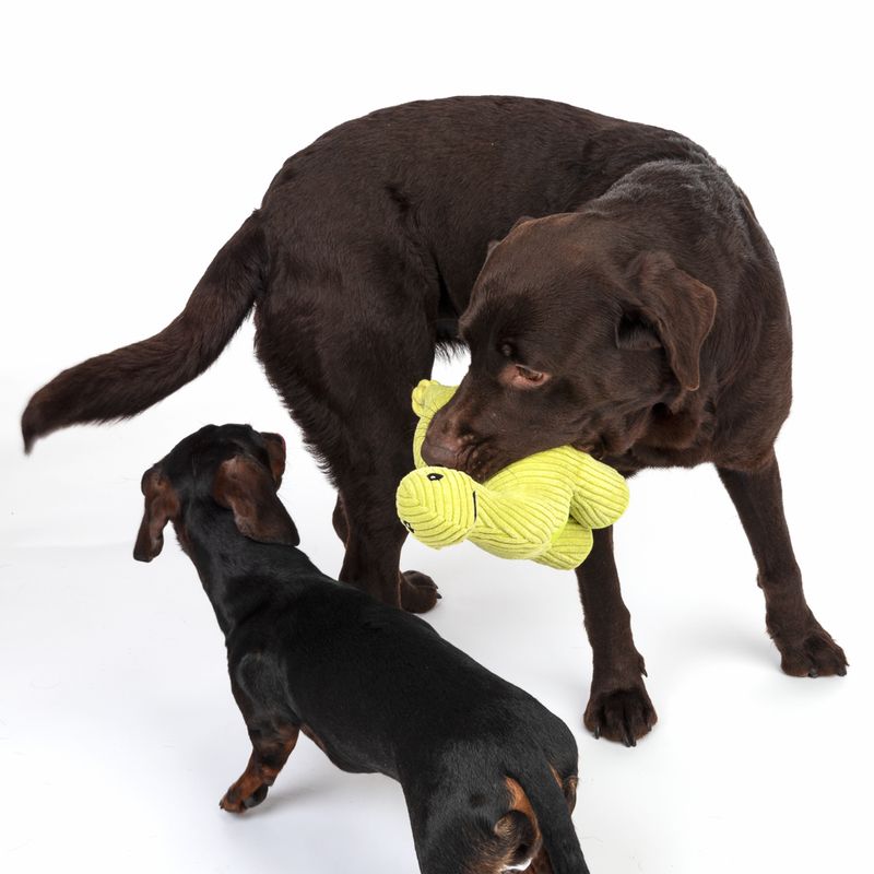 TIAKI Hundespielzeug Diplodocus zu TOP-Preisen