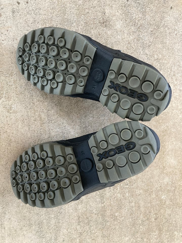Geox Sneakers 
