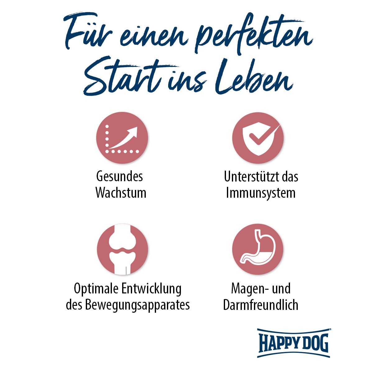Happy Dog Supreme Sensible Puppy Lachs & Kartoffel bei ZooRoyal
