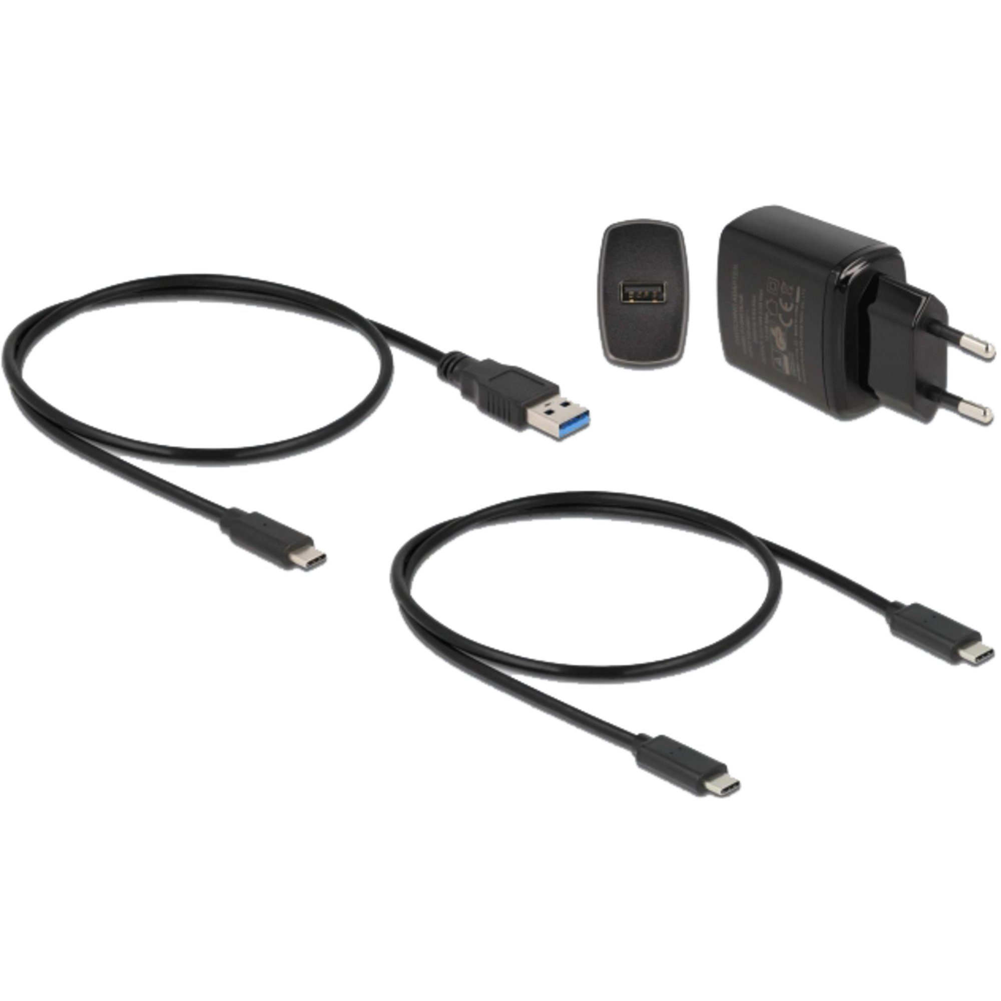 Delock Laptop-Dockingstation DeLOCK USB 3.0 Docking- und Klonstation M.2