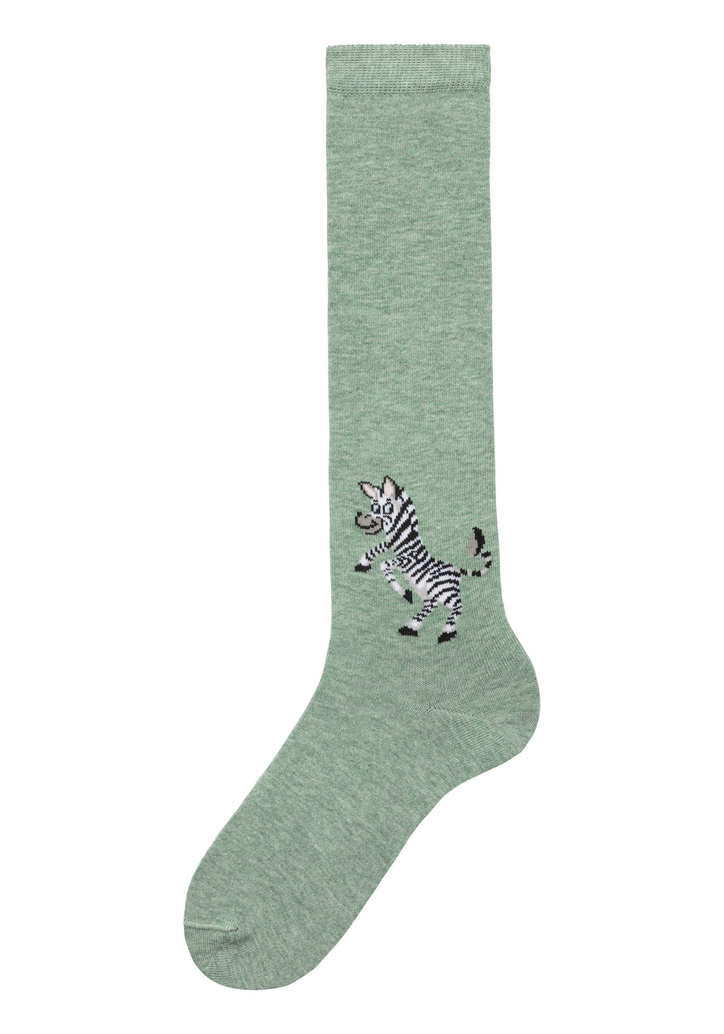 H.I.S Kniestrümpfe (5-Paar) mit eingestricktem Moriv