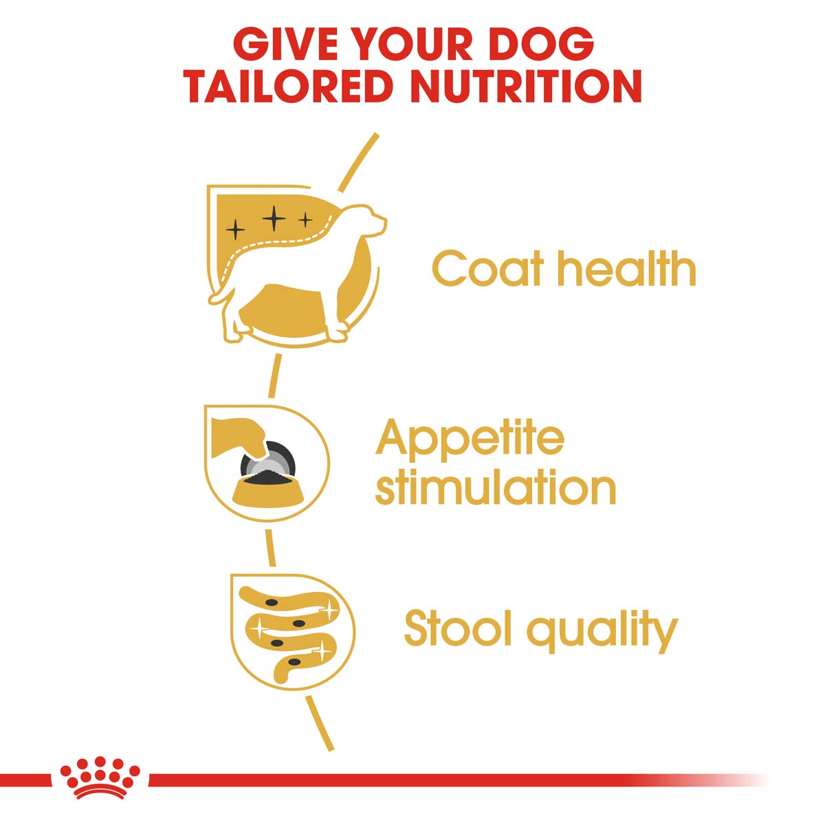 Royal Canin Breed Health Nutrition Yorkshire Terrier 12x85g