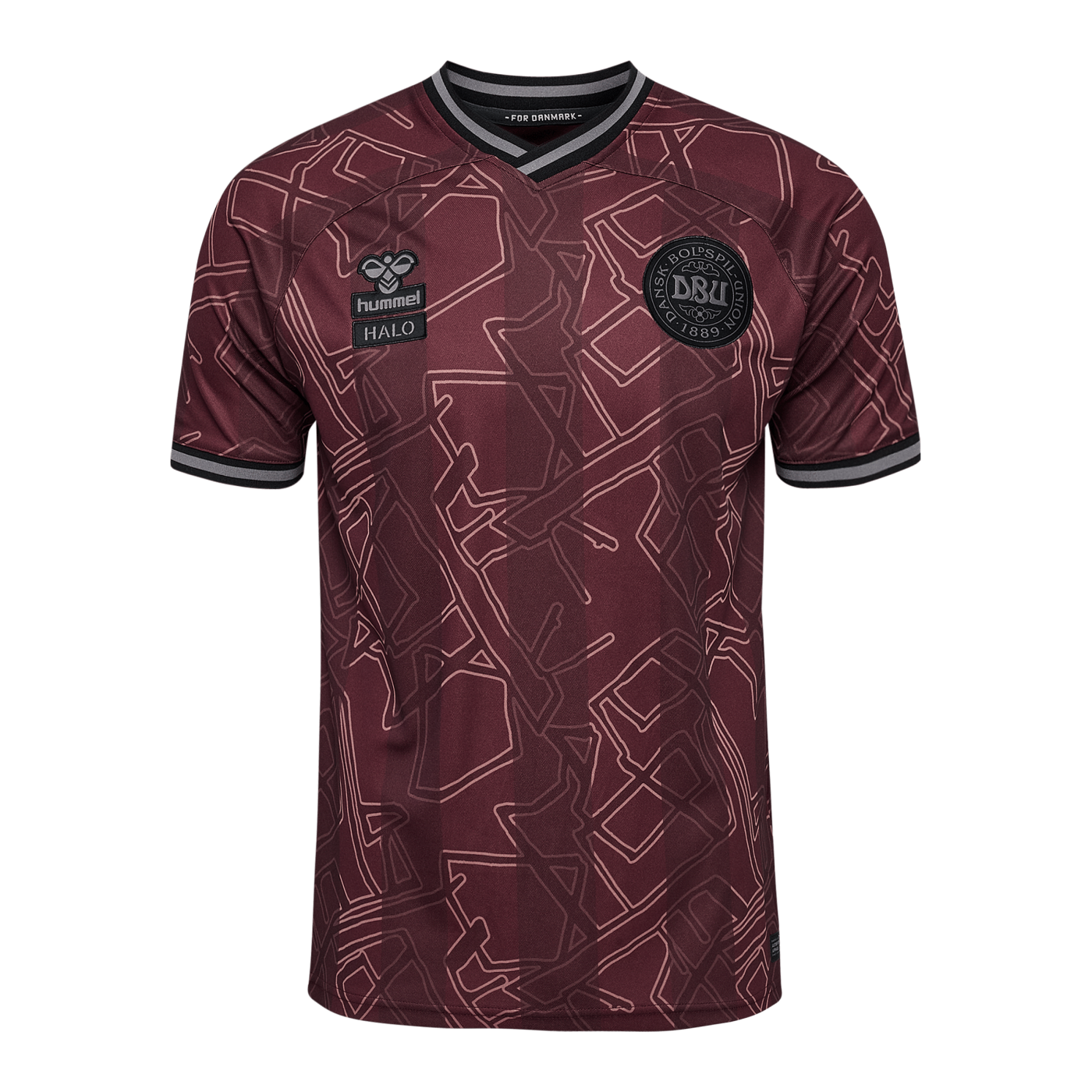 Hummel Dänemark x Halo Trikot 2024 Kids Blau F8186