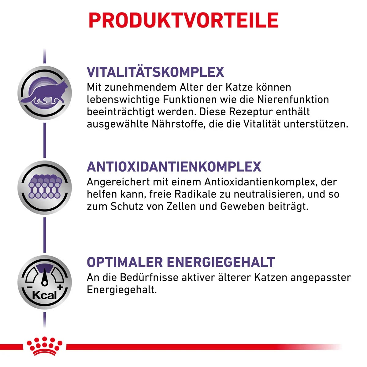 ROYAL CANIN MATURE CONSULT Feine Stückchen in Soße