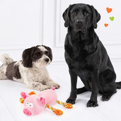 Doglove Hundespielzeug Schwein