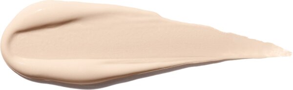 Shiseido Synchro Skin Self-Refreshing Concealer Concealer