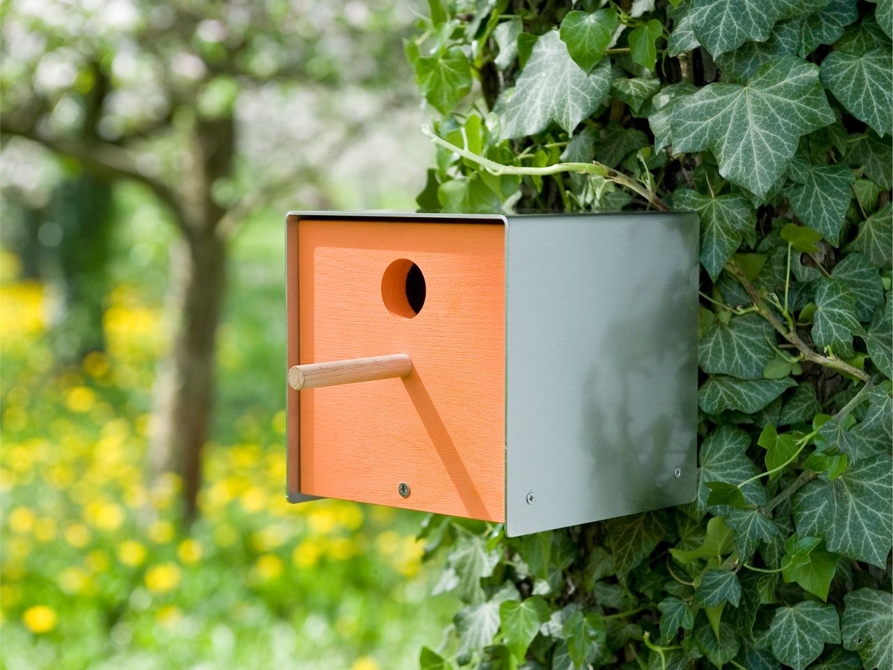 Keilbach Designprodukte Keilbach Nistkasten, Edelstahl, orangene Holzfront