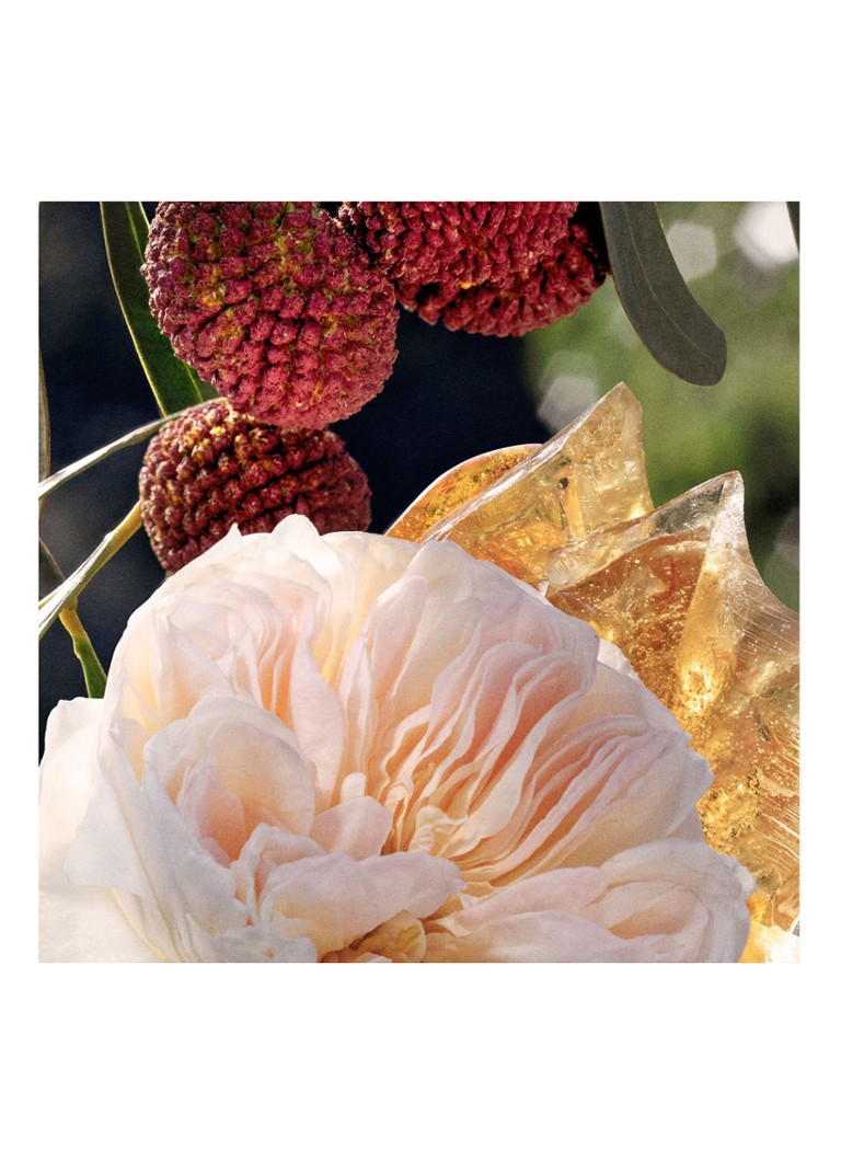 Chloé  Signature Eau de Parfum