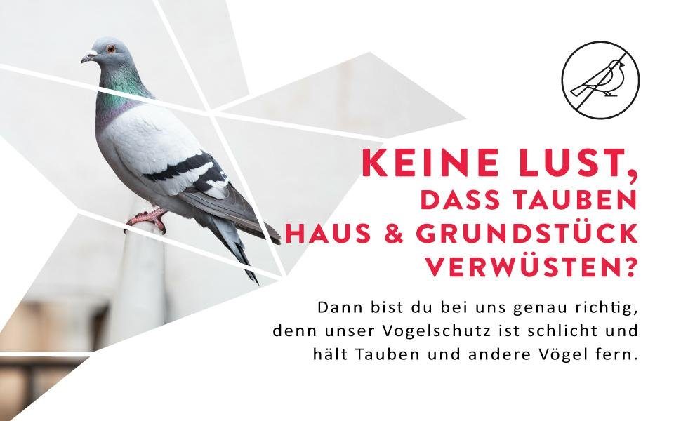 riijk Vogel-Schreck Taubenabwehr Spikes, Vogelabwehr aus Edelstahl - Balkon & Fenster, bereits montiert