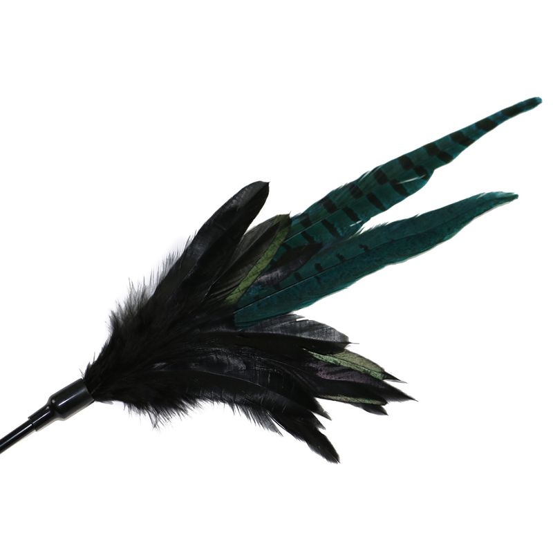 Federwedel Mystic Long Feather zu TOP-Preisen