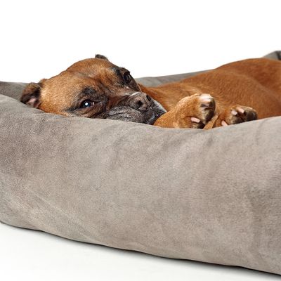 Hunter Hundesofa Bologna, stein