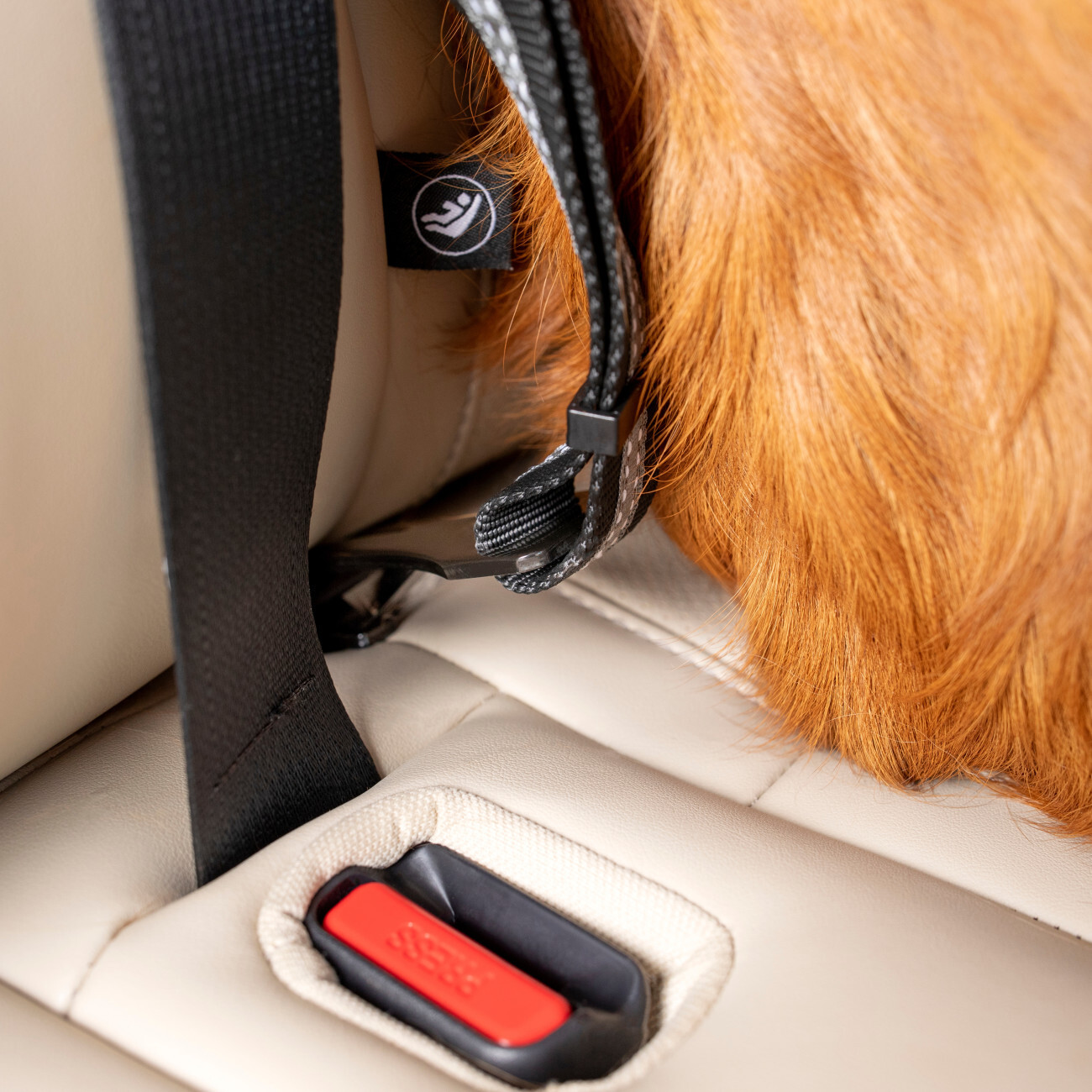 Kurgo Autozubehör Kurgo Auto-Sicherheitsgurt für Hunde mit Swivel Tether mit ISOFIX-Direktverbindung