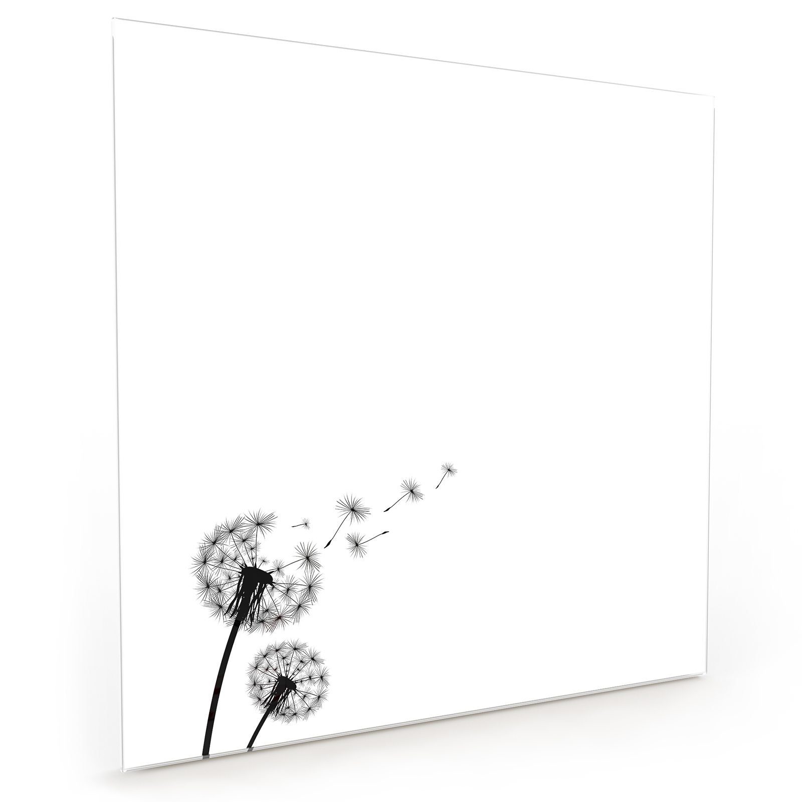 Primedeco Küchenrückwand Küchenrückwand Spritzschutz Glas mit Motiv Löwenzahn Silhouette
