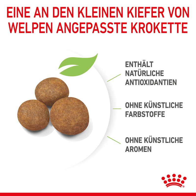 Royal Canin Maxi Puppy