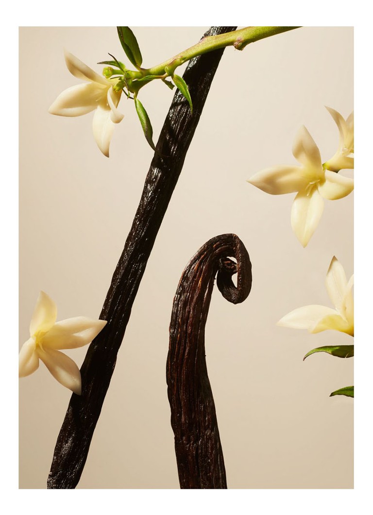 Ricarica per bastoncini profumati Rituals Suede Vanilla - ricarica per bastoncini profumati