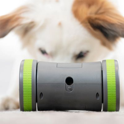 PetSafe Kibble Chase Selbstbewegendes Belohnungsspielzeug