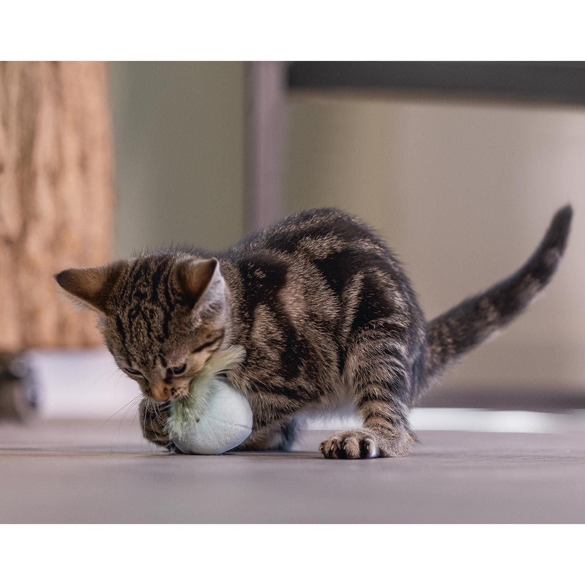 Beeztees Kitten Plüsch Ball mit Feder günstig kaufen