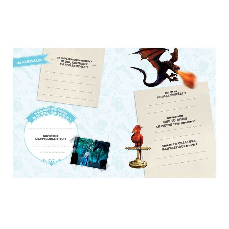 Harry Potter, Mon journal secret Hedwige - Play Bac