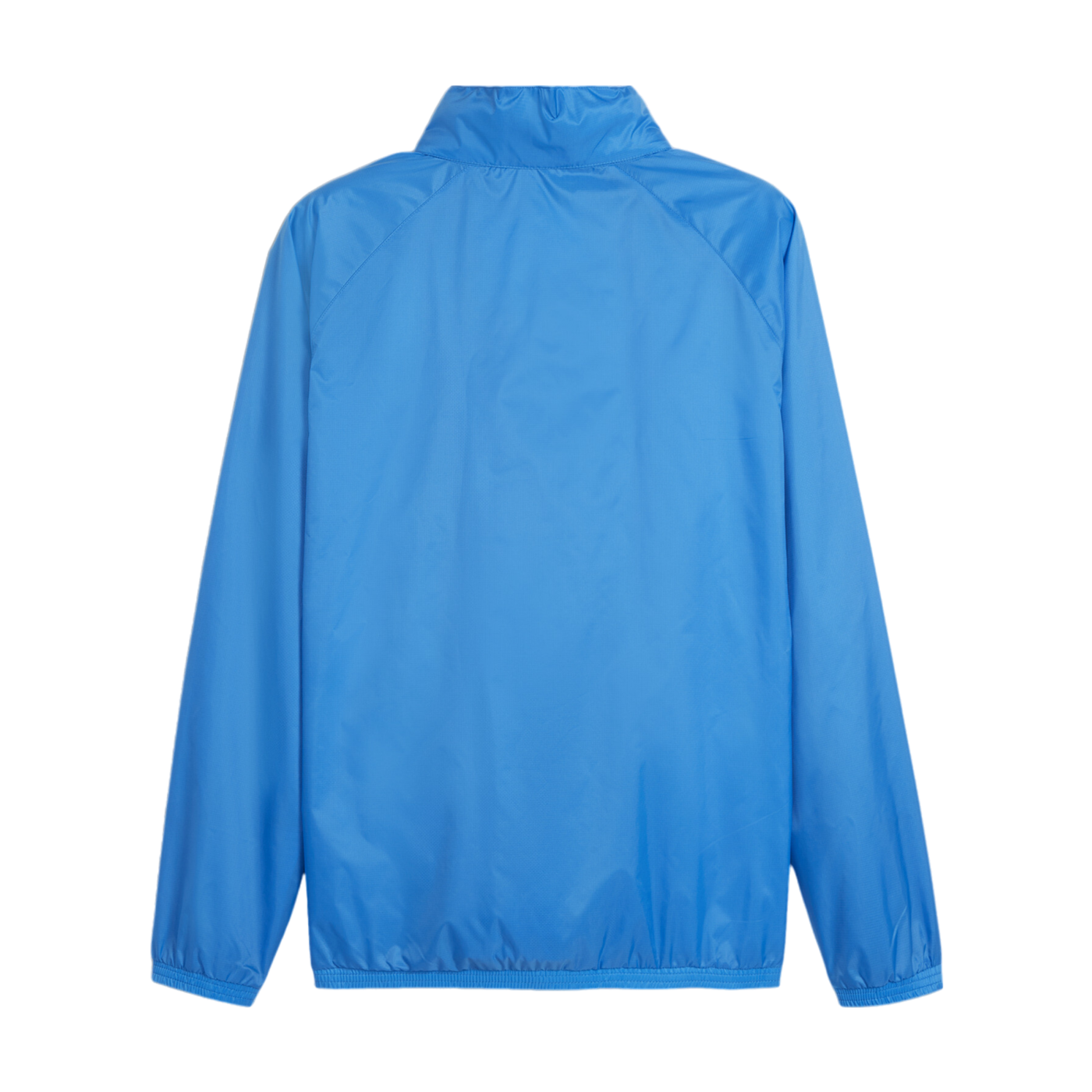 PUMA teamGOAL Allwetterjacke Blau Weiss F02
