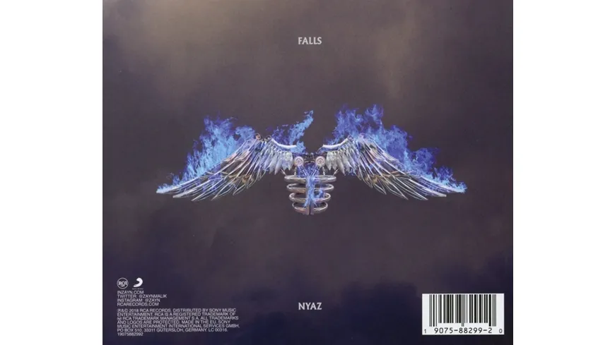 Icarus Falls