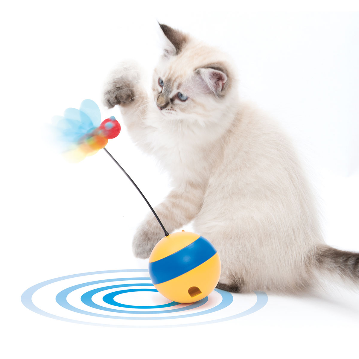 Catit Play Tumbler Bee Laser-Spielzeug kaufen