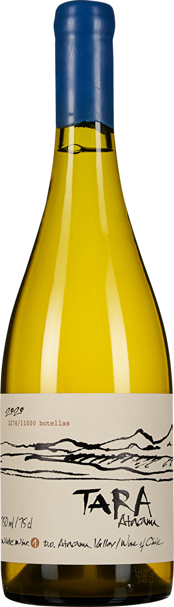 Ventisquero Tara Chardonnay Valle de Atacama 2020