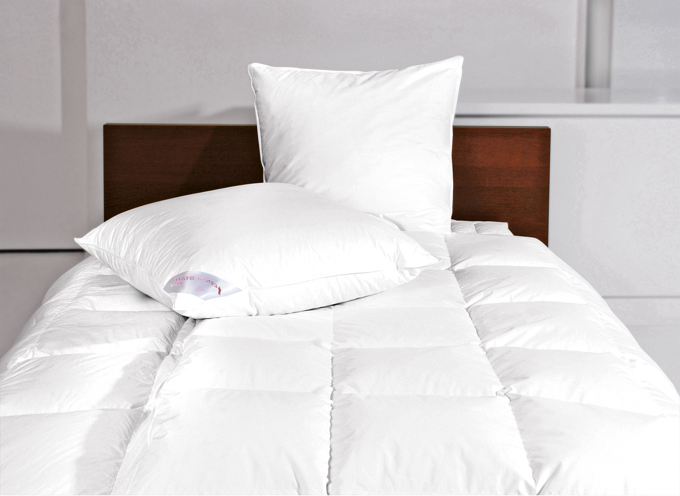 CENTA-STARDaunen-Kassettenbett 840g