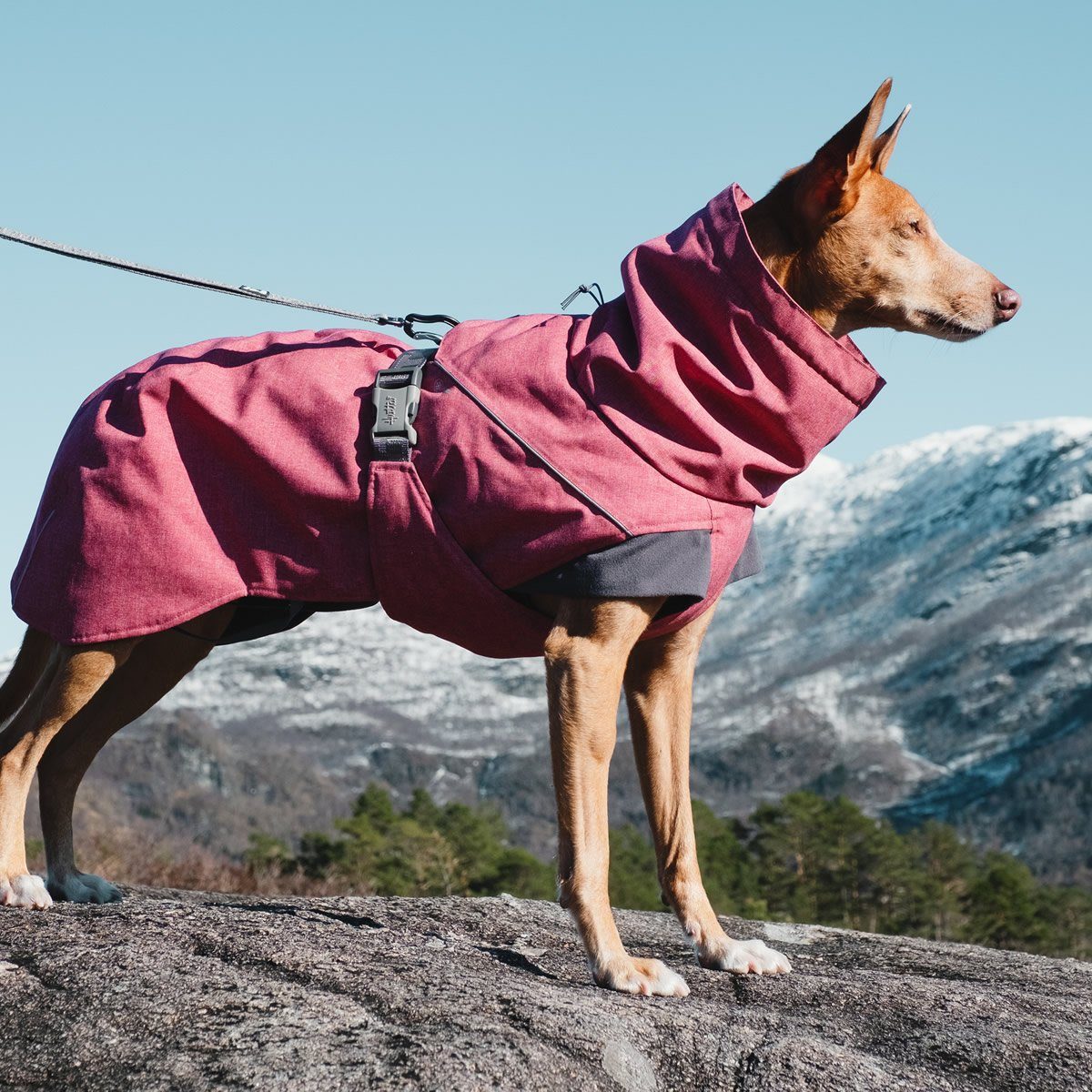 HURTTA Hundemantel Expedition Wintermantel rot