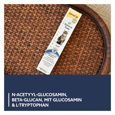 GimCat UT Balance Paste