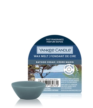 Yankee Candle Bayside Cedar Wax Melt Single Duftkerze-22 g