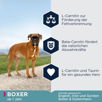 Eukanuba Adult Breed Specific Boxer