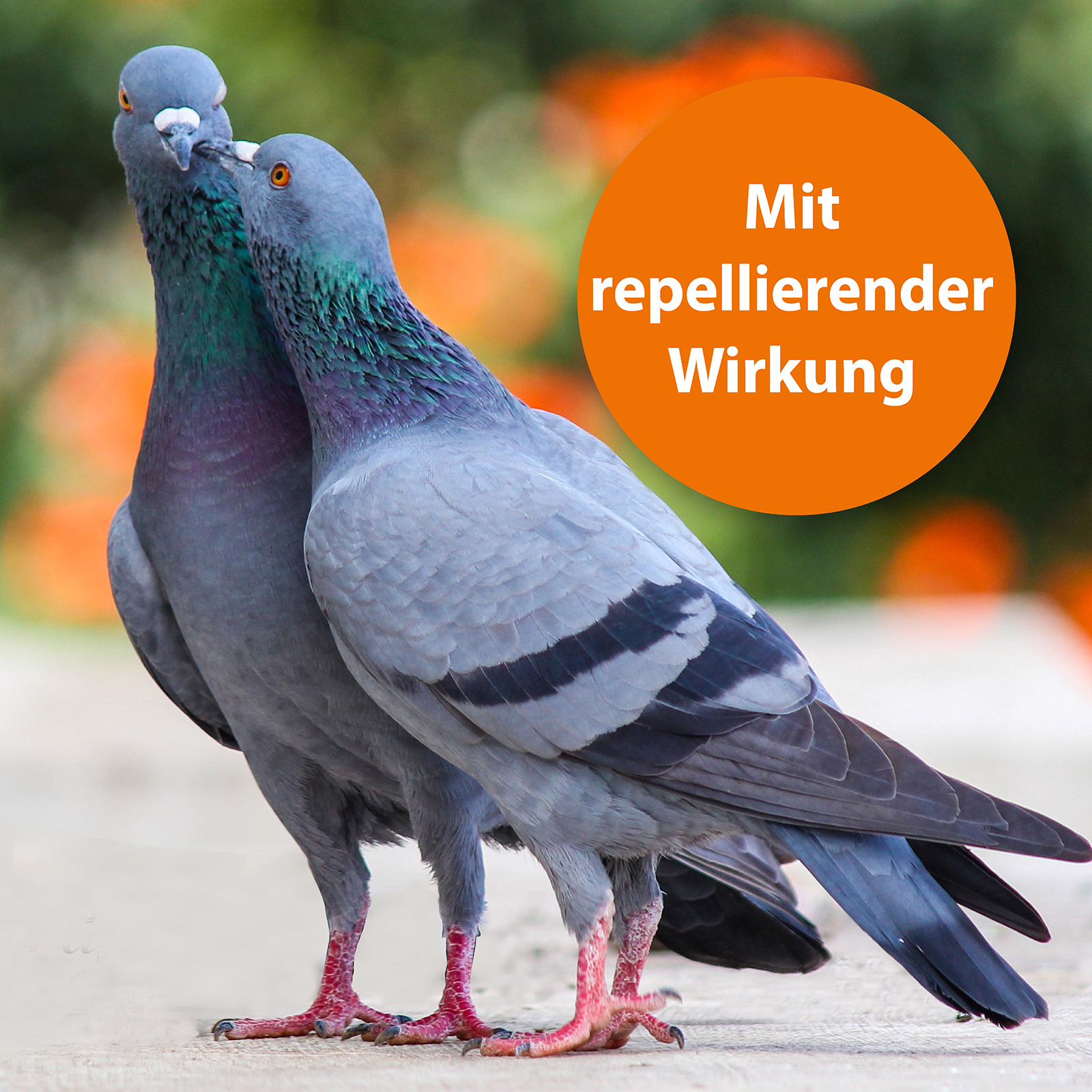 Ardap Pflege & Hygiene Ardap Spot-On für Ziervögel & Brieftauben