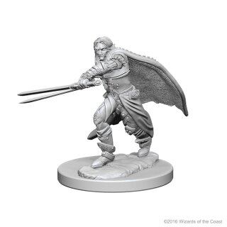 Elf Male Ranger: D&D Nolzurs Marvelous Unpainted Minis