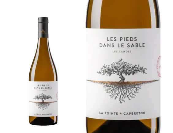 Domaine de la Pointe les Pieds Dans le Sable Igp Landes Blanc 2022 Sud-Ouest igp