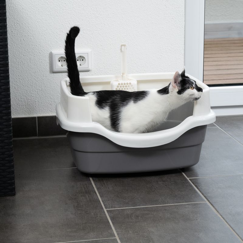 TIAKI Schalentoilette Stormy zu TOP-Preisen