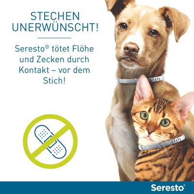 Seresto® Halsband Hund