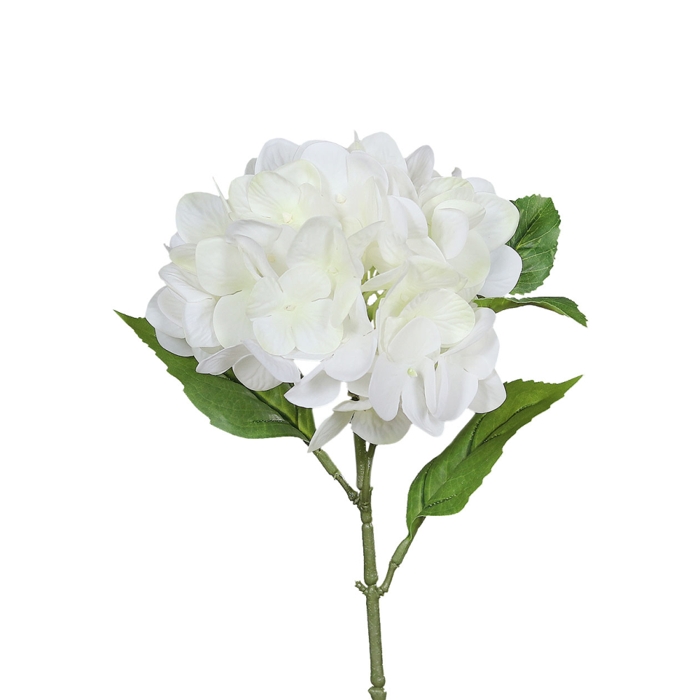 Hortensie grün/weiß