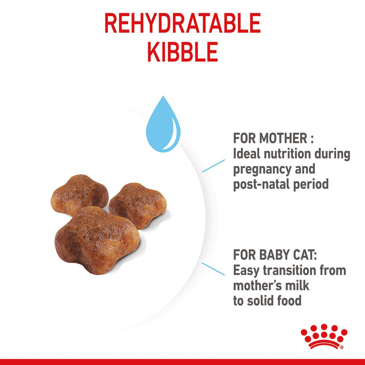 ROYAL CANIN MOTHER & BABYCAT Katzenfutter für tragende Katzen und Kitten