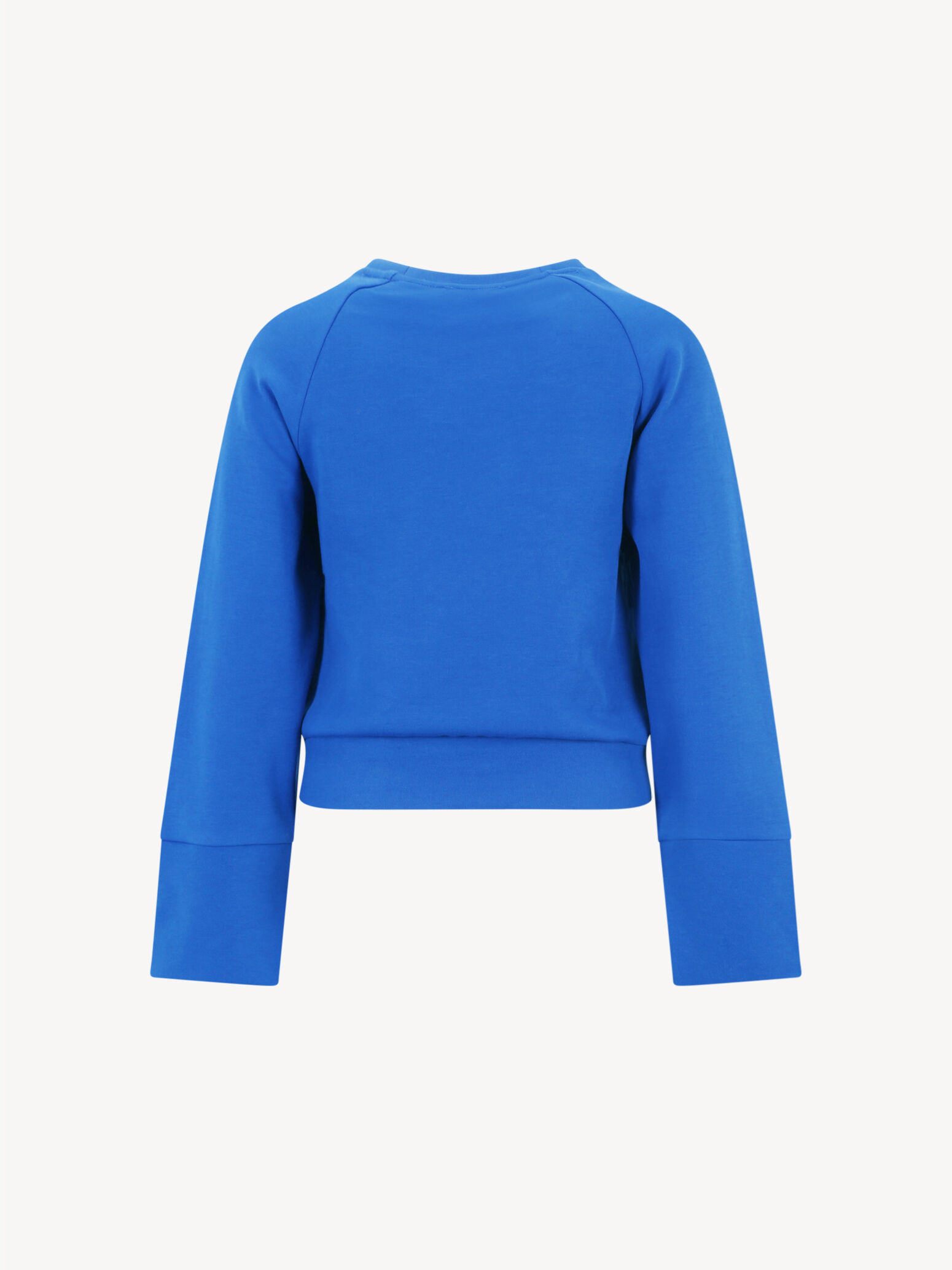 Sweat-shirt - bleu