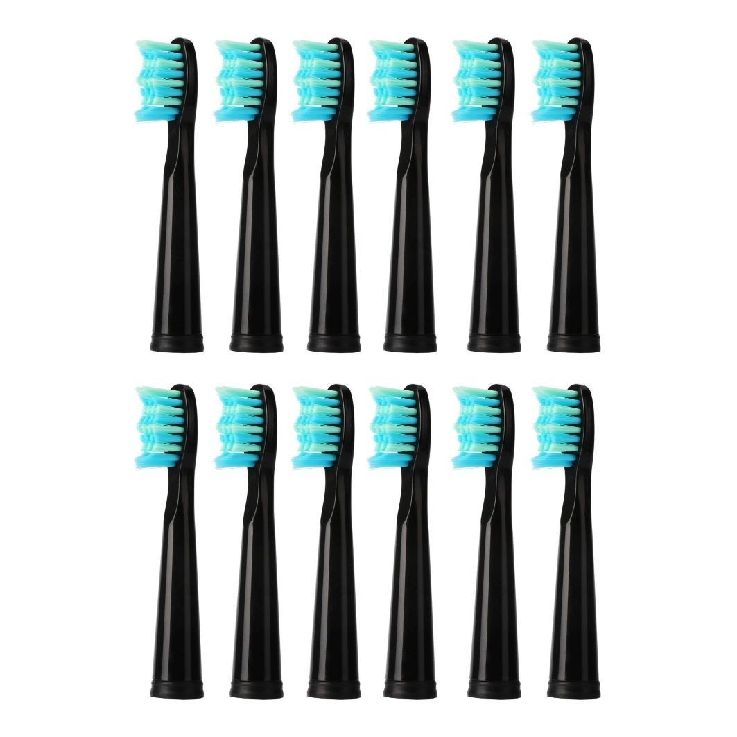 Ersatzbürstenköpfe Schwarz 12er Set