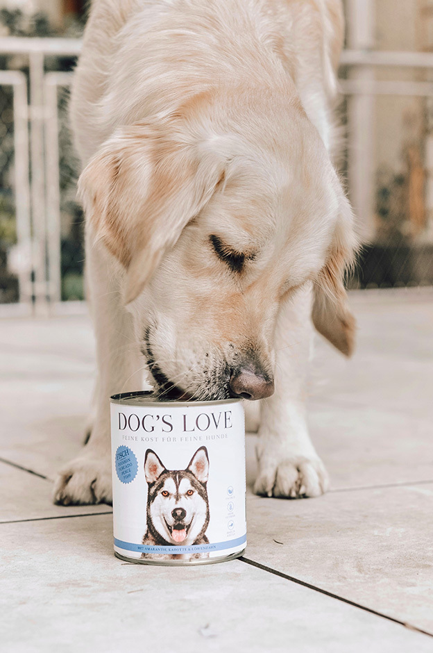 DOG'S LOVE Hundenassfutter DOG'S LOVE Adult Classic 6x800g Fisch mit Amaranth & Karotte