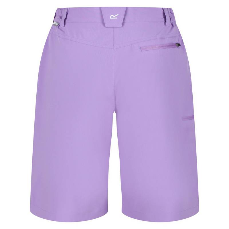 Regatta Xert It Shorts Damen